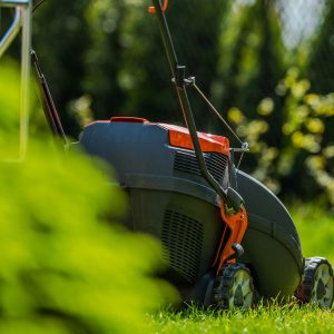 Grass Mowing in Garden